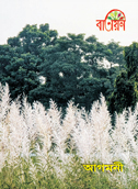 Batayan Vol 37